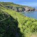 day 4 martin to woolacombe 12