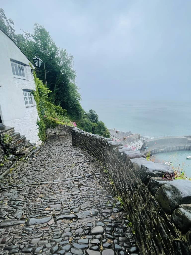day 8 clovelly to hartland quay 10