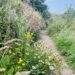 day 29 par to polperro