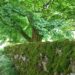 Day 7 - some photos from Orton to Kirkby Stephen