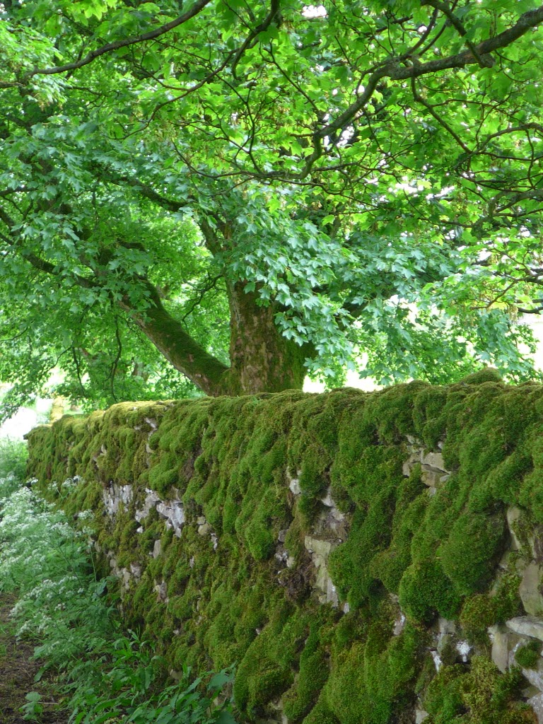 Day 7 - some photos from Orton to Kirkby Stephen