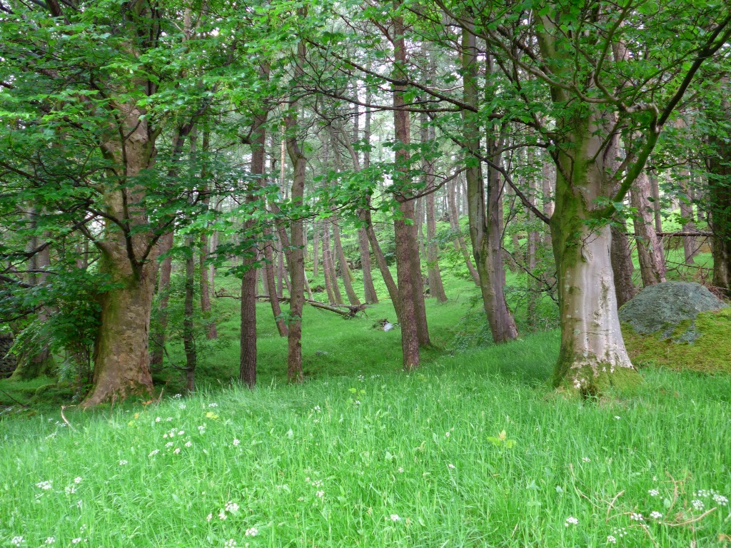 Day 4 - Some photos from Grasmere to Patterdale