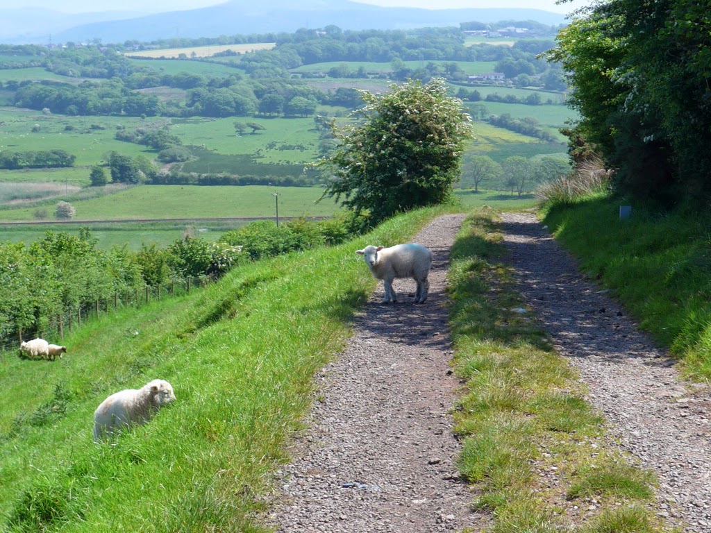 Some photos from St Bees to Sandwith